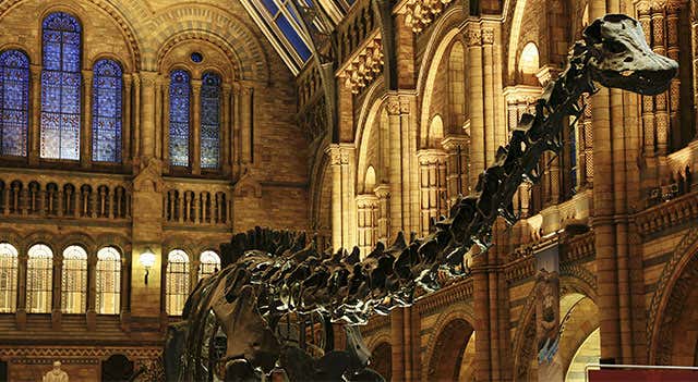 Museo de Historia Natural de Londres Horario precio y ubicación